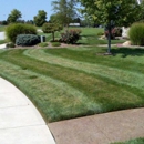 Expert Lawn & Landscape LLC - Landscape Contractors