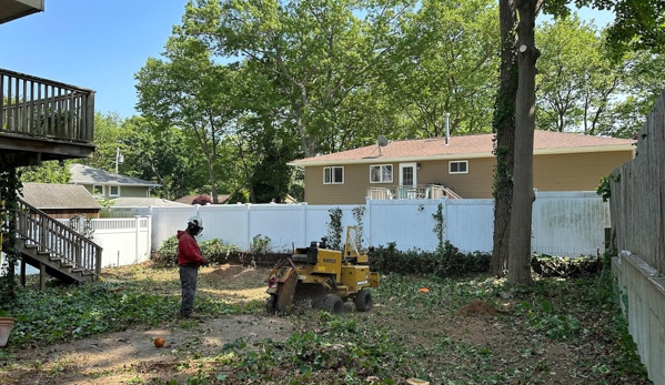 Anytown Tree Service Inc - Indianapolis, IN