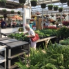 Jerrys Floral Shop-Greenhouses gallery