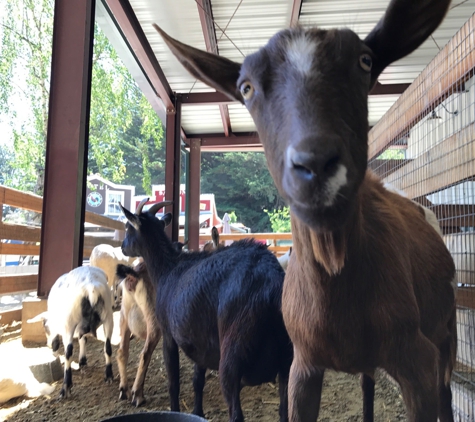 Lemos Farm - Half Moon Bay, CA