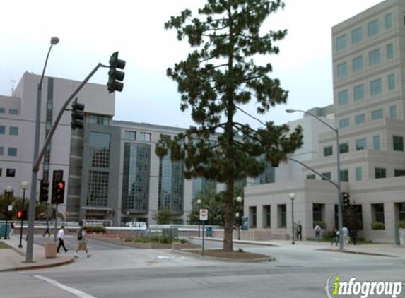 Matel's Childrens Health Center - Los Angeles, CA