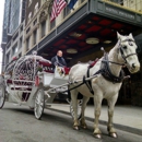 Elite Carriages of Kansas City - Horse & Carriage-Rental