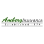 Amberg Insurance Center
