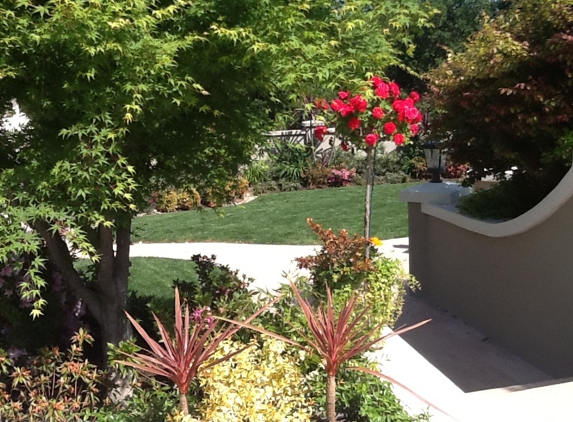 Rodriguez Home Services - Campbell, CA