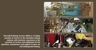 Diversified Mining Services Limited