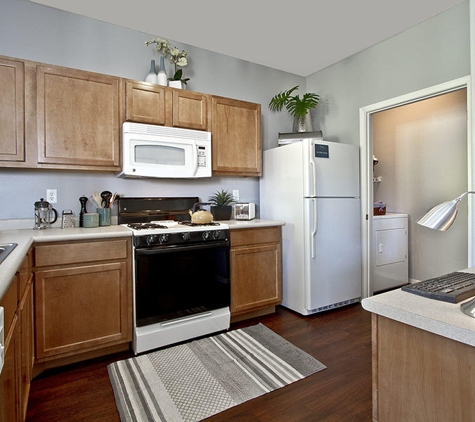 Viviani Apartment Homes - Las Vegas, NV