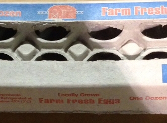 Eggcarton Service - Boca Raton, FL