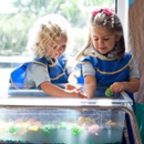 Carpe Diem Private Preschool - Preschools & Kindergarten