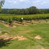 Arrington Vineyards gallery