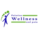 Palatine Wellness and Pain - Chiropractors & Chiropractic Services