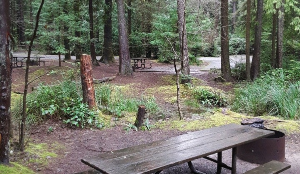 Jessie M. Honeyman Memorial State Park - Florence, OR