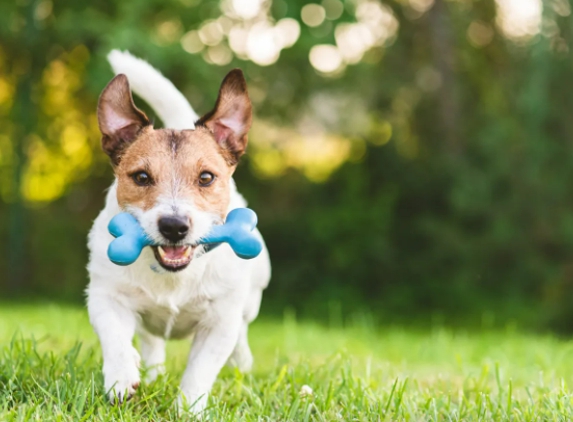 Beaver  Dam Veterinary Clinic - Beaver Dam, WI