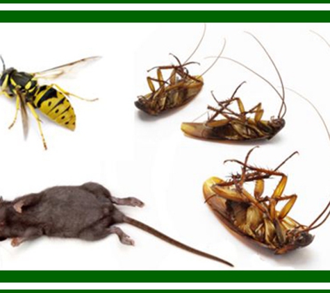 Bourne Pest Control - Joslin, SA. Complete Pest Control