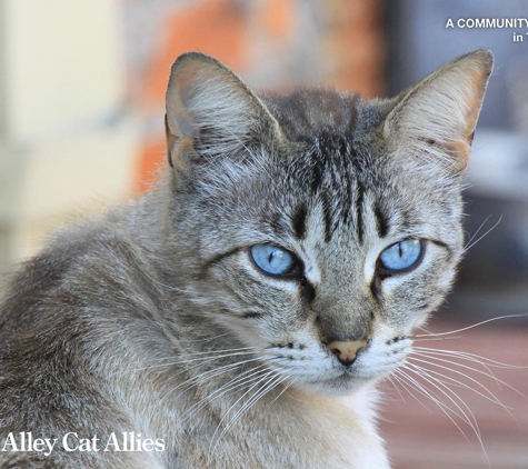 Alley Cat Allies - Bethesda, MD