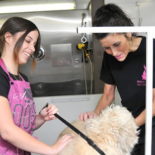 The Pet Spa at Barkley Square - Falls Church, VA