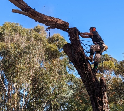 Cape Tree Service Mount Barker, Porongurup and Kendenup - Mount Barker, WA