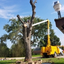 4 B's Lawn Care & Tree Service - Gardeners