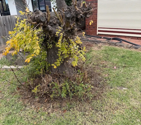 No Trace Stump Removal - Rockbank, VIC