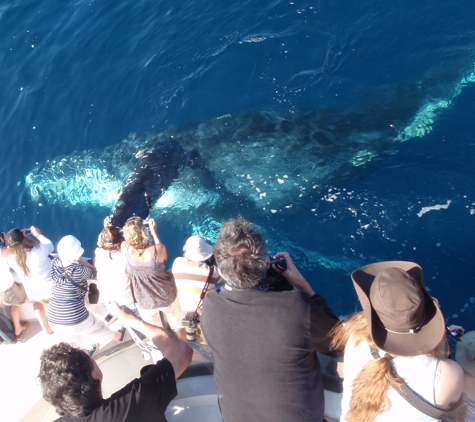 Davey's Locker Sport Fishing & Whale Watching - Newport Beach, CA