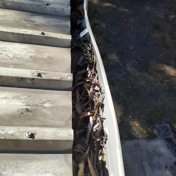 Gallery Image Number 1