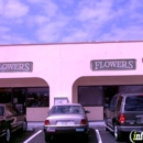Anna Flowers of Jupiter - Flowers, Plants & Trees-Silk, Dried, Etc.-Retail
