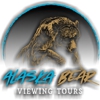 Alaska Bear Viewing Tours gallery