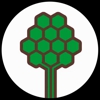 Ahlum & Arbor Tree Preservation gallery
