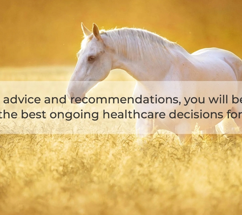 Avonsleigh Veterinary Clinic - Avonsleigh, VIC. With good advice and recommendations, you will be equipped to make the best ongoing healthcare decisions for your pet.
