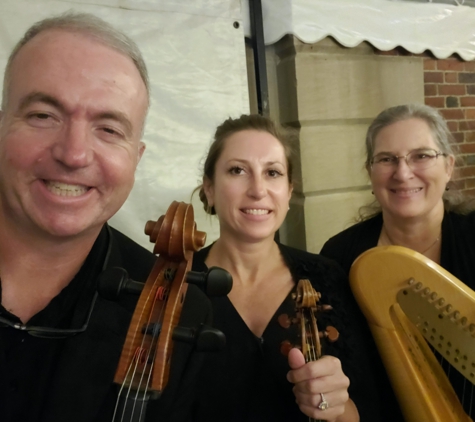 Will Hayes Cellist and Suzuki Strings Teacher - Mechanicville, NY. Cello, violin, harp