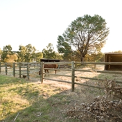 Gallery Image Number 3