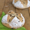 Great Harvest Bread Company gallery