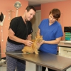 Pet Medical Center Of Vero Beach FLORIDA gallery