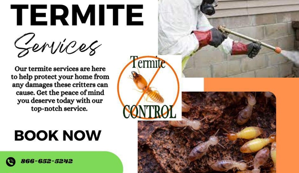 Triple Threat Termite San Diego