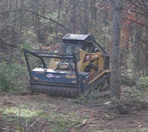 Ron Raby Tree Service