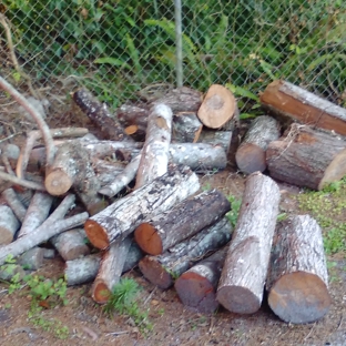 Anthony Smith Tree Service and Lawn Care - Saint Augustine, FL. This  is only SOME of the trees,that were left behind,there was a lot more and bigger ones too,camera couldn't fit it all in!!