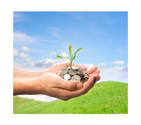 Clarity Accounting Solutions - Noosaville, QLD. Setting up a new business