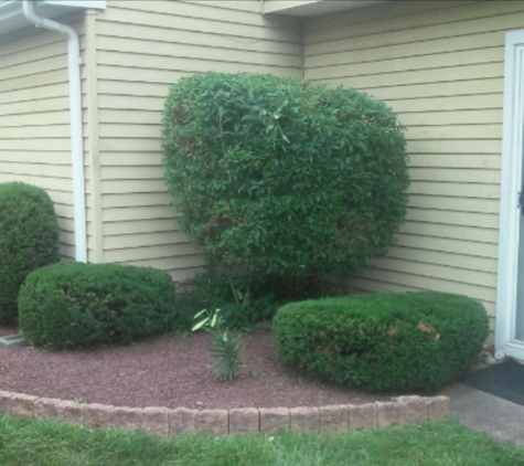 CICCO'S Landscaping & Design - Bensalem, PA