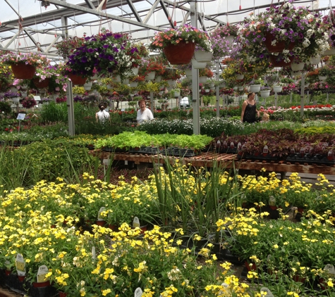 Penrose Nursery - Howell, MI