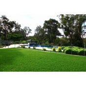 Gallery Image Number 7
