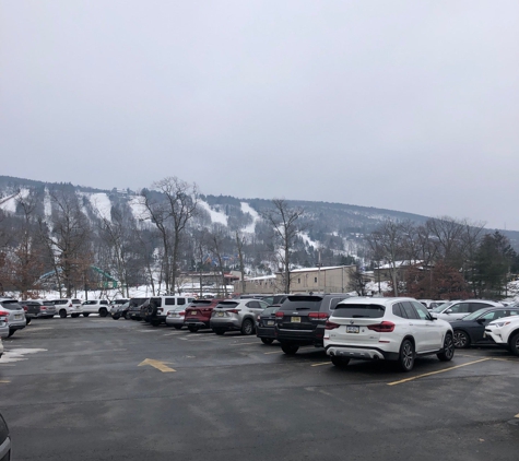 Camelback Mountain Real Estate - Tannersville, PA