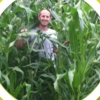 Green Acres Cover Crops gallery