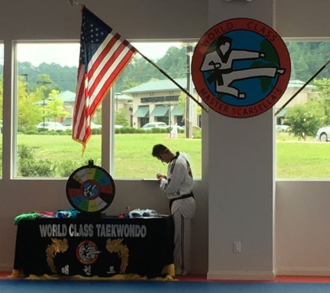 World Class Tae Kwon Do - Birmingham, AL