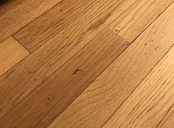 Sisters Cleaning Service - Canton, GA. Stains that weren’t removed