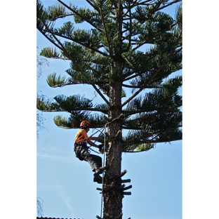 Total Tree Management - Kingston, TAS