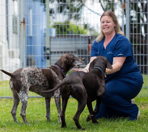 My Vets Thornton - Thornton, NSW