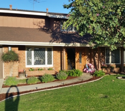 Salinas Landscaping & Tree Preservation Inc. - Los Angeles, CA. Before, brown old brick on front of home, small walkway, worn.