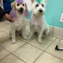 Ruff Cutz Dog Grooming - Pet Grooming