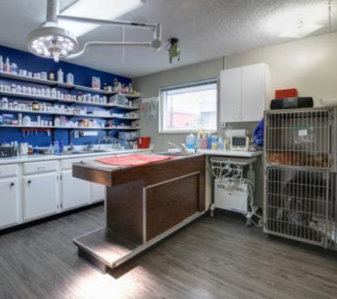 The Vet's Animal Hospital - Denver, CO