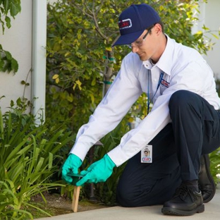 Clark Pest Control - San Jose, CA