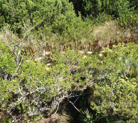 Sccf Native Plant Nursery - Sanibel, FL